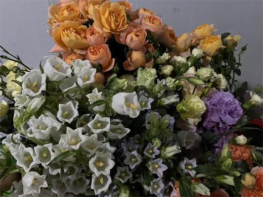 鲜花/一批 商品图0