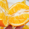 【湖南纽荷尔脐橙】 春橙现摘现发 新鲜橙子 不打蜡  酸甜多汁 5斤/9斤装 商品缩略图1