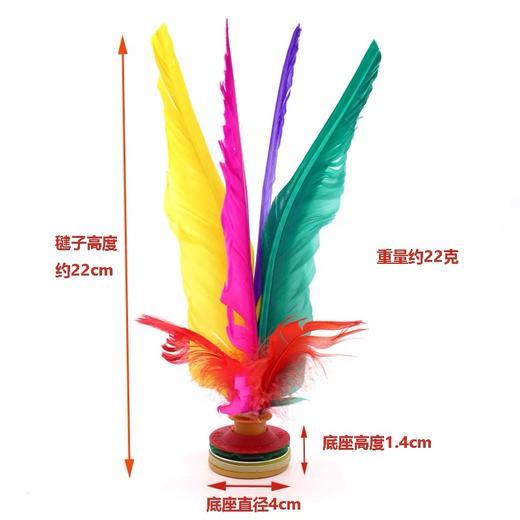 大毽子太仓新健彩色鹅毛大花毽健身毽球 1个 比赛专用牛筋底成人XJ2008/大号308 商品图5