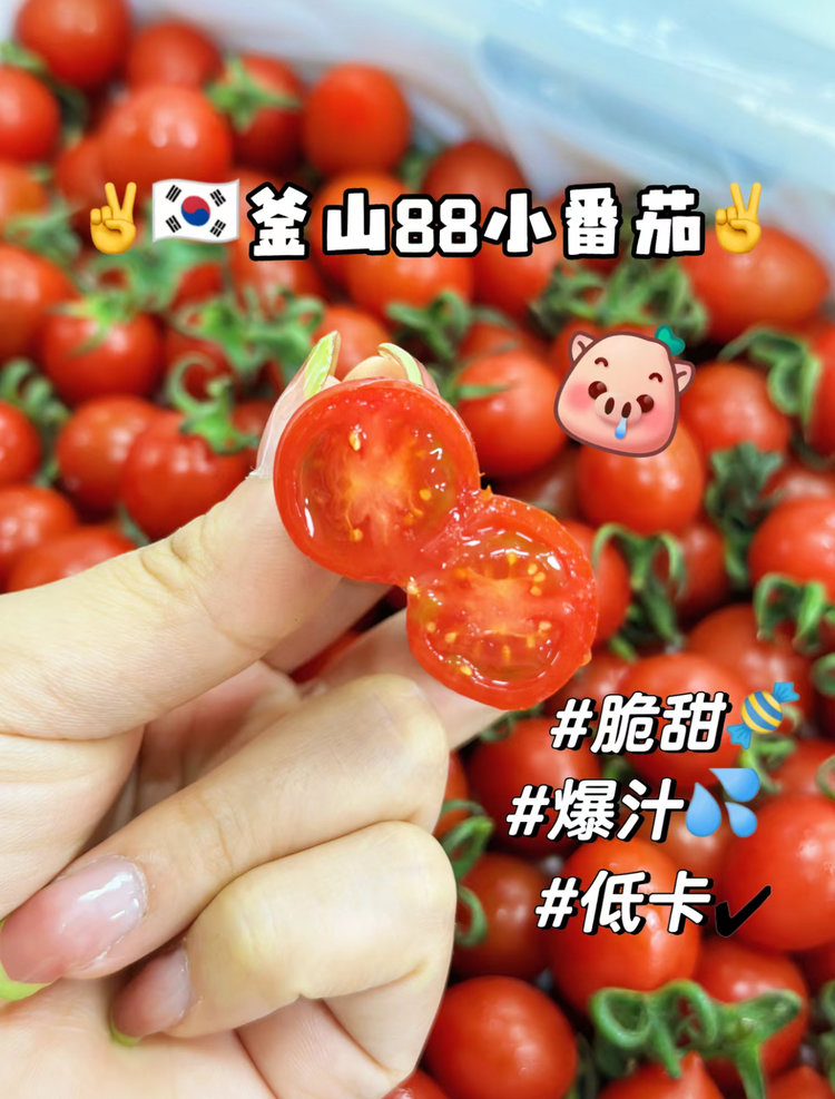 釜山88玲珑小番茄 千禧新鲜现摘圣女果小西红柿迷你孕妇水果