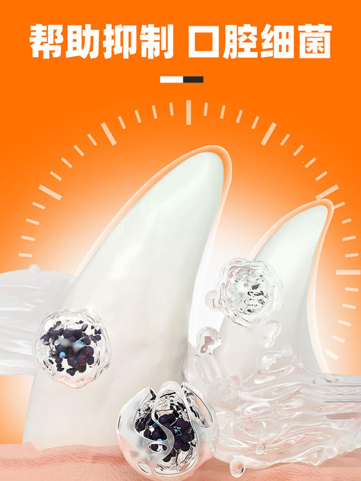 【26元任选2件】普安特猫咪口腔清洁口臭狗狗口水口气口腔清洁喷雾牙齿清洁喷剂适可林 1瓶 商品图1