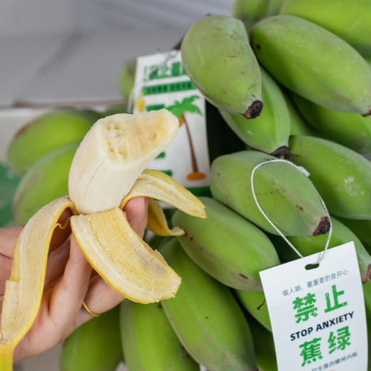 【"禁止蕉绿 "水培苹果蕉】没熟是绿植 熟后是水果 办公室新宠 商品图1