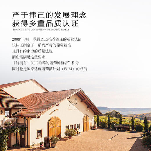 【莱茵黑森葡萄酒大赛金奖】德国帝博利琼瑶浆晚收半甜白葡萄酒 QMP级 12.5%vol 商品图6