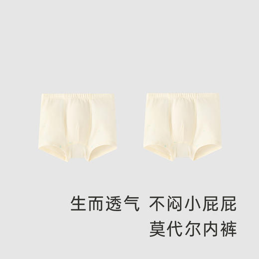 英氏儿童内裤透气平角裤男女童莫代尔新款2件装YLSDJ0P019A YLSDJ0P020A 商品图1