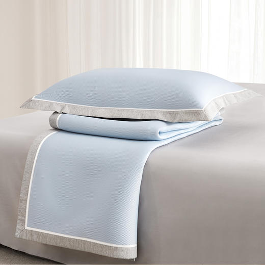 丝享雪糕4D-BOX冰肌席三件套夏季凉席枕套可机洗三件套礼盒装（山姆超市款） 商品图5