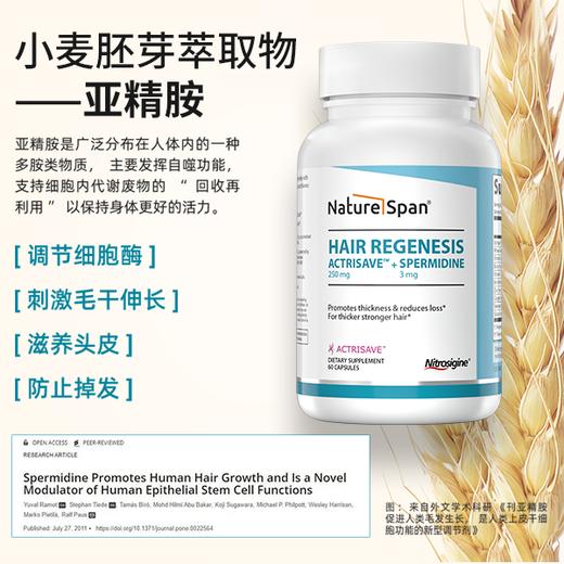 亚精胺头发配方ACTRISAVE™ 美国进口胶囊60粒/瓶  NS倍能适 商品图2