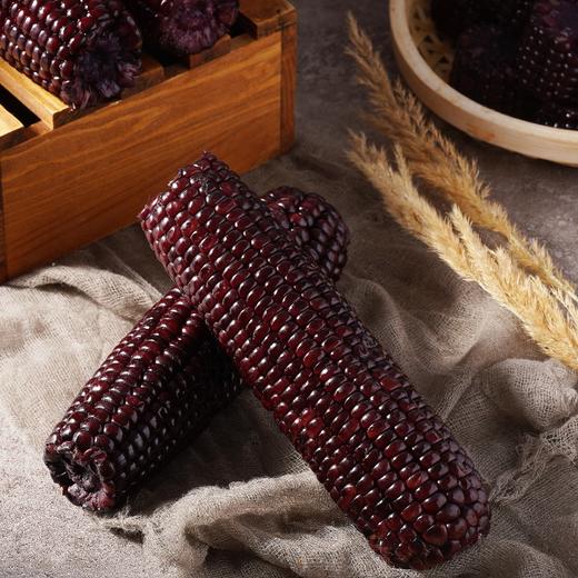 疆农家有机玉米家庭装1.2kg/袋（多规格） 商品图1