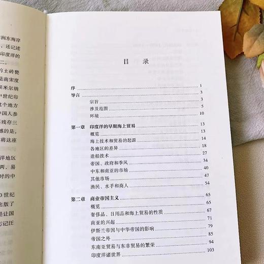 印度洋史(区域国别史丛书) 商品图1