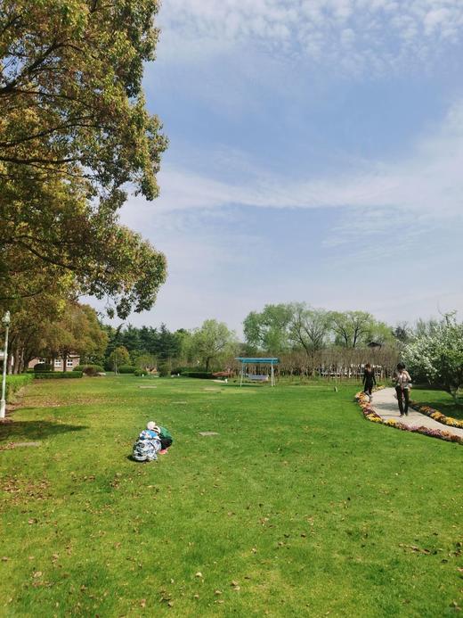 满足所有游玩的超大草坪露营场地 商品图1