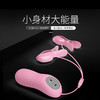 谜姬 情趣电击乳夹震动乳房按摩 自慰器女用私处刺激按摩器成人夫妻房事性辅助工具另类高潮性用品sm惩罚玩具（电池款） 商品缩略图3