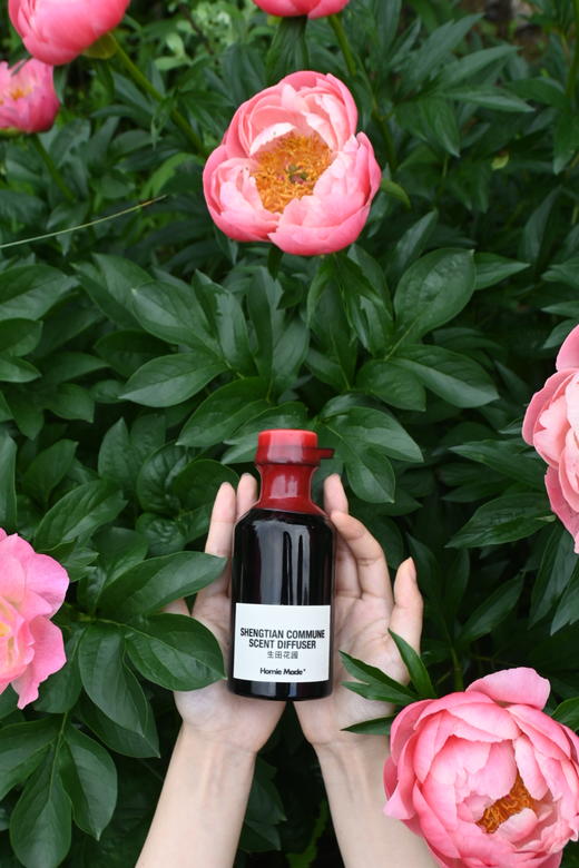 生田花园藤条香薰 商品图1