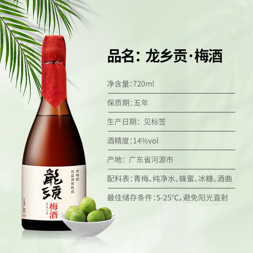 【酸甜微醺 绵柔清爽】非遗龙乡贡青梅酒720ml/瓶 商品图4