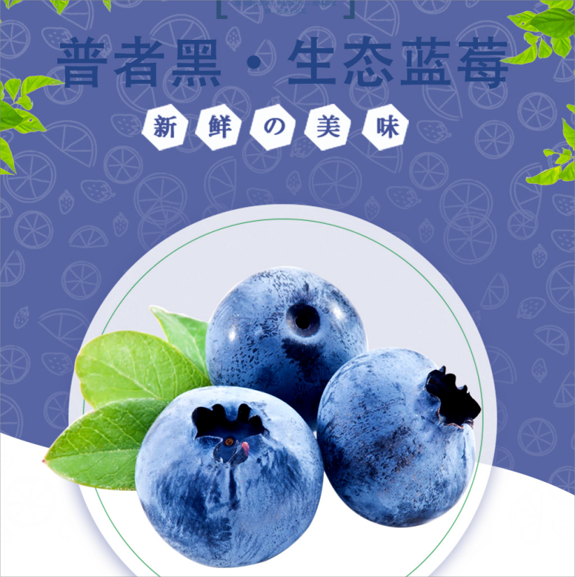 【普者黑优瑞卡黑蓝莓】产自核心景区/脆甜 爆浆口感 顺丰包邮/花青素之王