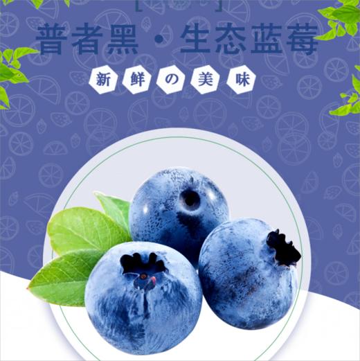 【普者黑优瑞卡黑蓝莓】产自核心景区/脆甜 爆浆口感 顺丰包邮/花青素之王 商品图0