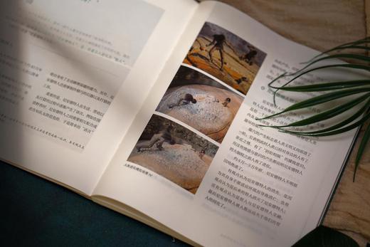 走遍世界博物馆：丛书.墨西哥国家人类学博物馆+印度国家博物馆+俄罗斯艾尔米塔什博物馆 商品图5