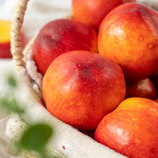 【云南珍珠黄心油桃】个头娇小 软硬两吃 果肉细腻 酸甜爽口 一口尽享汁水充沛的感觉 3种规格任选 商品图5