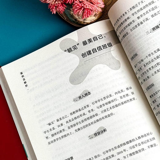 班主任基本功实战案例解析与指导 大夏书系 卓月琴编著 商品图14