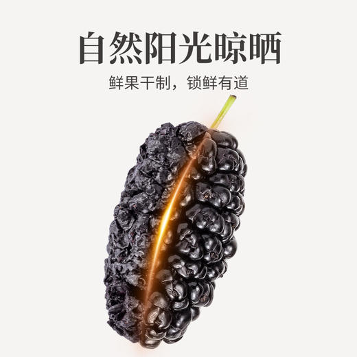 方家铺子 桑椹干500g（四星）/瓶装 商品图3