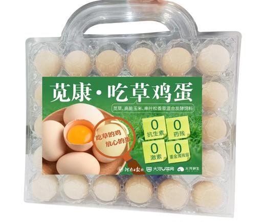 苋康吃草鸡蛋 商品图0