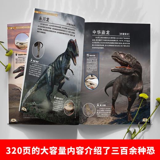 恐龙进化的奥秘 商品图2