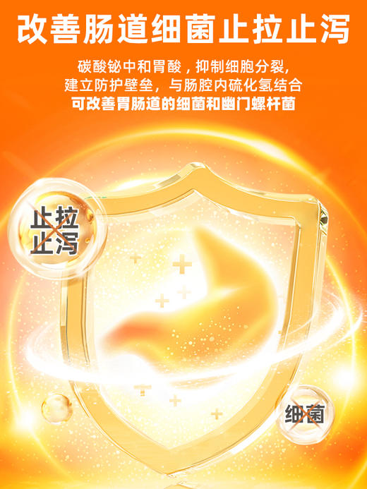 普安特维利克狗狗拉肚子腹泻拉稀呕吐宠物便血止泻药肠胃调理碱式碳酸铋片 商品图2