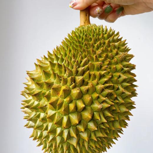 泰国托曼尼榴莲  |进口水果 商品图3