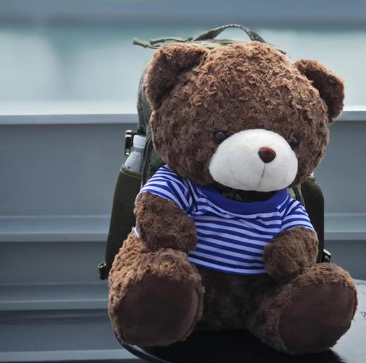 【体能大熊公仔40cm】体能大熊公仔40cm毛绒公仔陪伴公仔送小熊杯专属礼盒包装y 商品图12