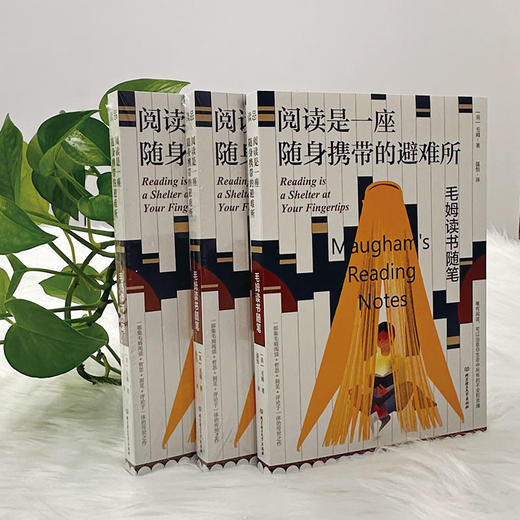 《阅读是一座随身携带的避难所》 商品图6