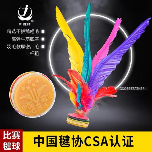 大毽子太仓新健彩色鹅毛大花毽健身毽球 1个 比赛专用牛筋底成人XJ2008/大号308 商品图0