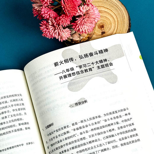 班主任基本功实战案例解析与指导 大夏书系 卓月琴编著 商品图11