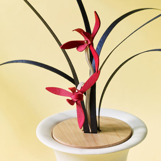 木秀兰香家居香氛 商品图2