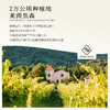【莱茵黑森葡萄酒大赛金奖】德国帝博利琼瑶浆晚收半甜白葡萄酒 QMP级 12.5%vol 商品缩略图5