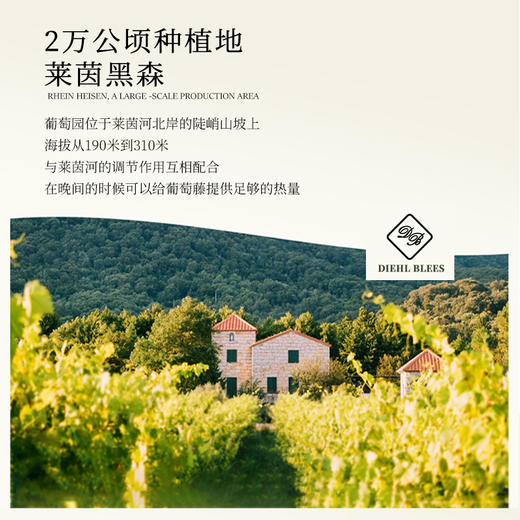 【莱茵黑森葡萄酒大赛金奖】德国帝博利琼瑶浆晚收半甜白葡萄酒 QMP级 12.5%vol 商品图5