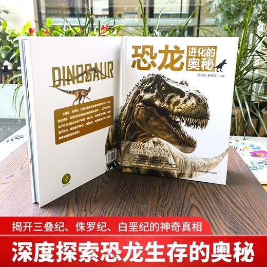 恐龙进化的奥秘 商品图3