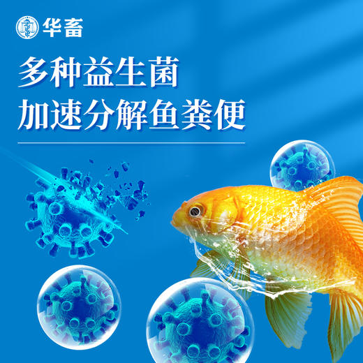 华畜硝化细菌鱼缸用净水剂养鱼净化水质稳定剂分解鱼粪消化活菌液 商品图2
