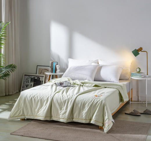 【远梦】纯棉水洗夏被 商品图2