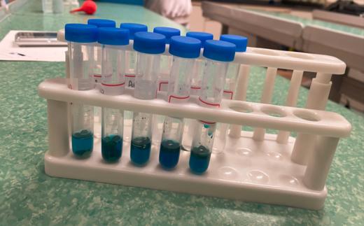 唐南中学七年级生命奇迹社团费用 商品图0