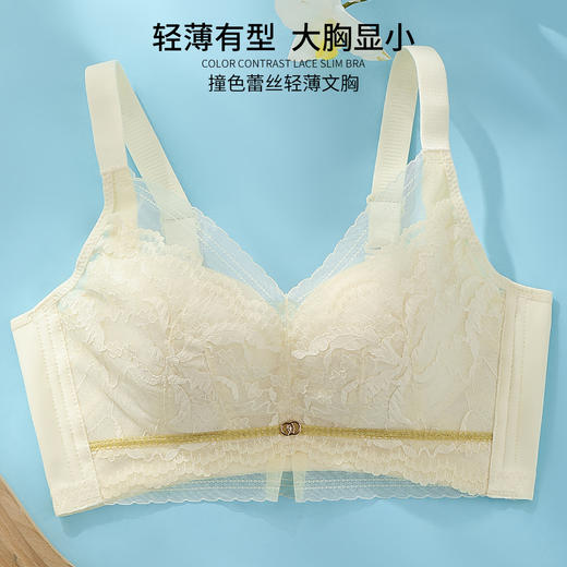 雅黛丽内衣女薄款大胸显小蕾丝舒适文胸亲肤透气调整型女士胸罩 商品图0