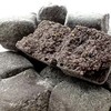 【买1送1、买2送2】辟谷茯苓糕、不含防腐剂、0色素、250g/罐-24 商品缩略图4