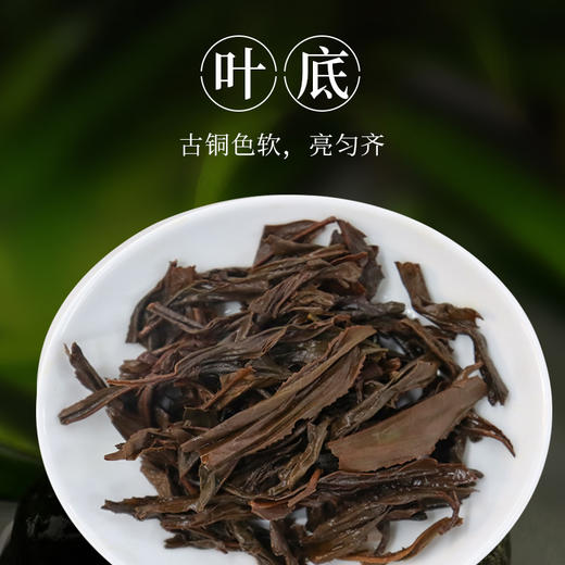 【桐木正山】元正高端正山小种红茶40g 商品图4