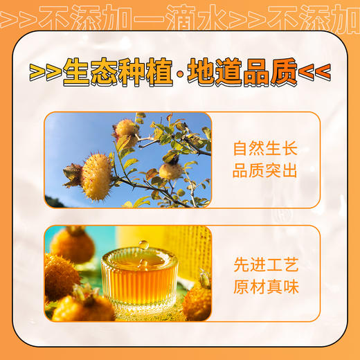 【小茨】精致刺梨原液体验装30ml/袋*10袋/盒 商品图1