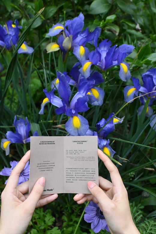 生田花园藤条香薰 商品图4