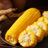 疆农家有机玉米家庭装1.2kg/袋（多规格） 商品缩略图2