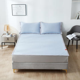 丝享雪糕4D-BOX冰肌席三件套夏季凉席枕套可机洗三件套礼盒装（山姆超市款）