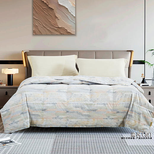 鑫缘 可水洗白鹅朵朵绒被 EYPB0220 商品图4