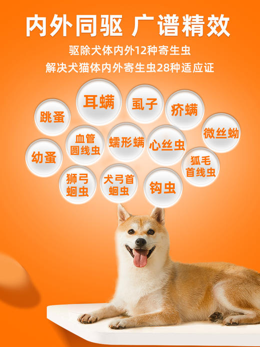【犬用滴派 买1送1同款单支】普安特内外同驱吡虫啉莫昔克丁滴剂滴派犬用（产品包装更新，新旧包装随机发货） 商品图1