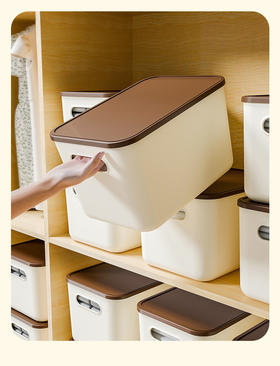 【4个装】稻草熊奶油风收纳箱(带盖)