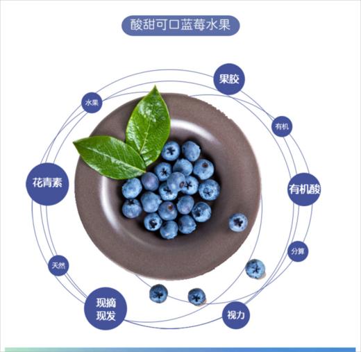 【普者黑优瑞卡黑蓝莓】产自核心景区/脆甜 爆浆口感 顺丰包邮/花青素之王 商品图3