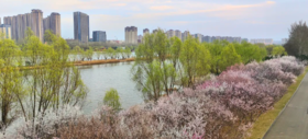 临汾市域赏花踏青游路线（旅游路线、临汾）