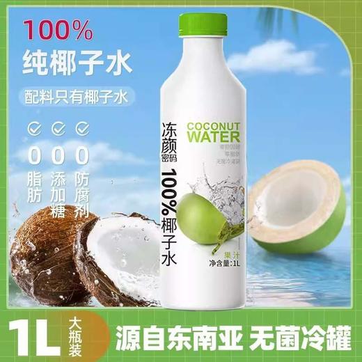 冻颜密码椰子水1L 商品图1